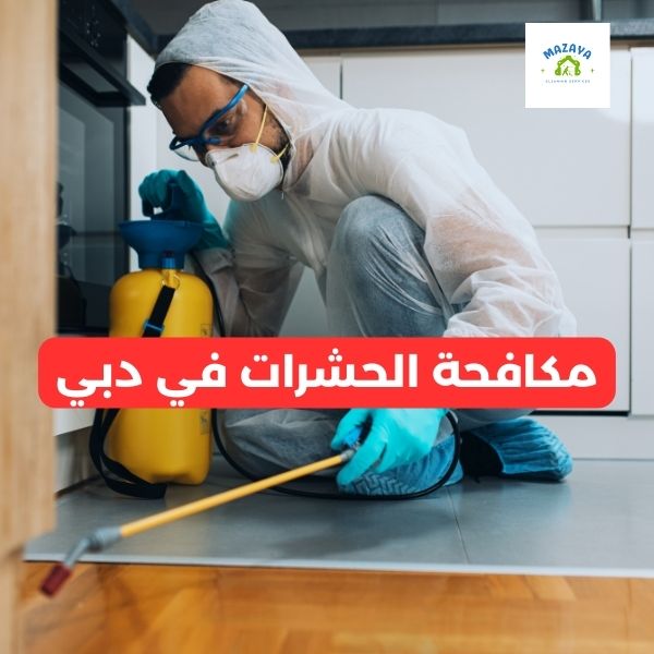 مكافحة الحشرات في دبي: الحل الأمثل لبيئة صحية بخصم 50%