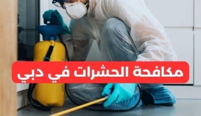 مكافحة الحشرات في دبي: الحل الأمثل لبيئة نظيفة وصحية بخصم 50%