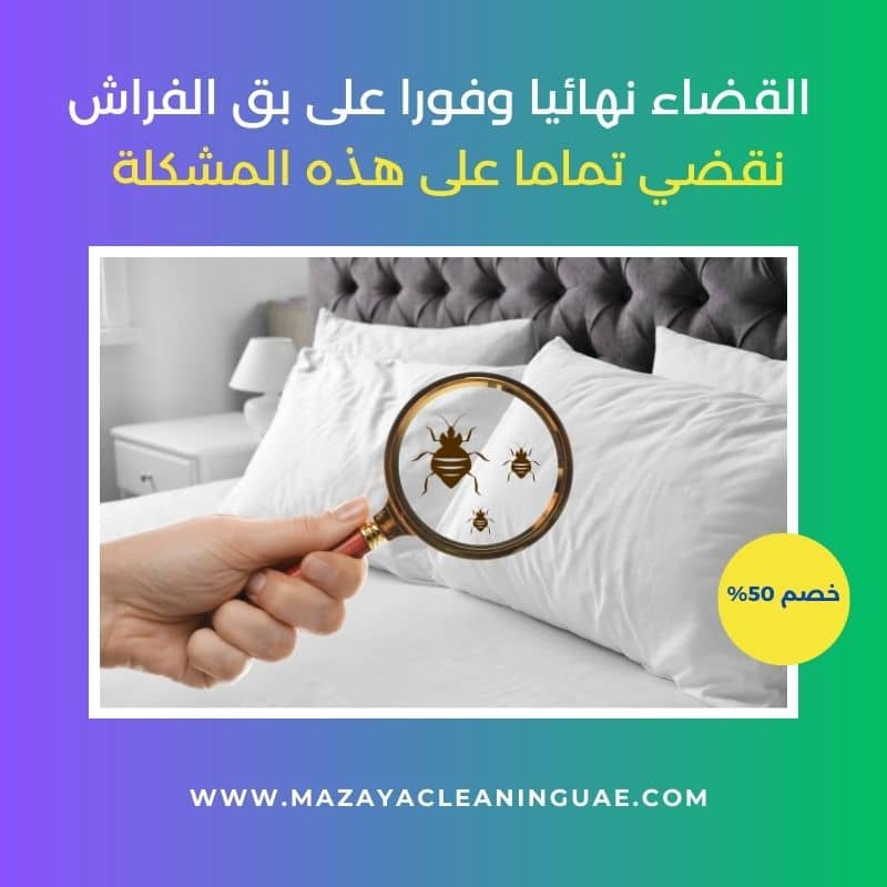 شركة مكافحة حشرات في عجمان (مزايا) | خصم 30% وضمان شامل 3 شركة مكافحة بق بعجمان