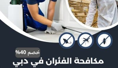 شركة مكافحة الفئران في دبي بخصم 40% | ابادة تامة للفئران