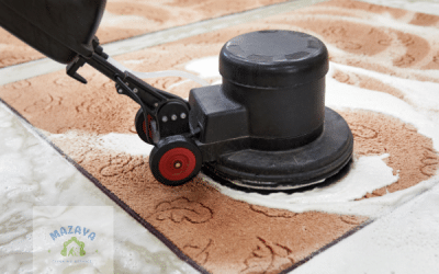 شركة تنظيف سجاد في دبي: أكبر عروض تنظيف السجاد خصم 50%
