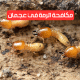 شركة مكافحة الرمة في عجمان